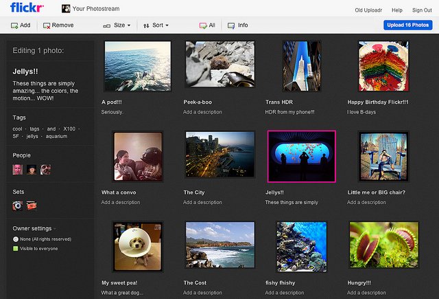 8 Best Google Picasa Alternatives To Organize your Photos
