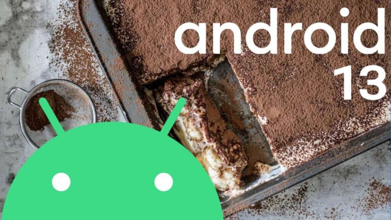 Android 13 Leaked Features and Screenshots