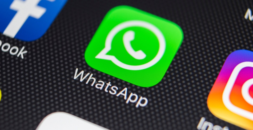 WhatsApp expands its Business Searches within the App