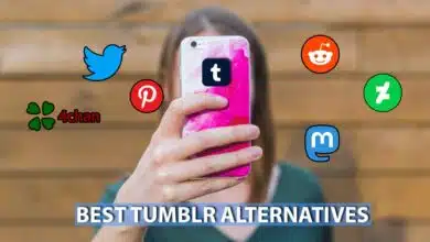 10 Best Tumblr Alternatives For You To Check Out