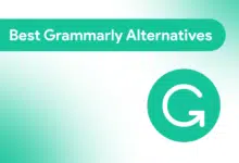 7 Best Grammarly Alternatives