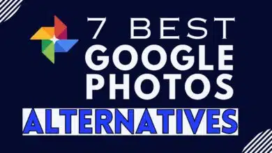 Top 7 Best Google Photos Alternatives