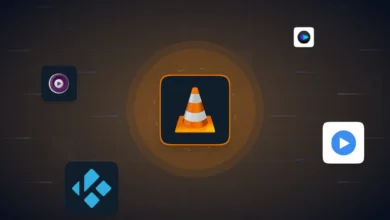 Top 8 VLC Alternative Media Players