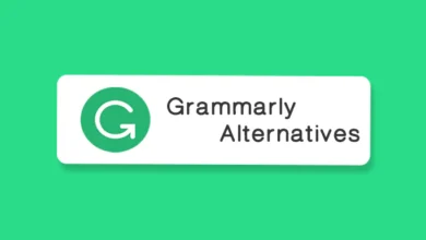 7 Best Grammarly Alternatives