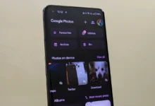 Top 7 Best Google Photos Alternatives