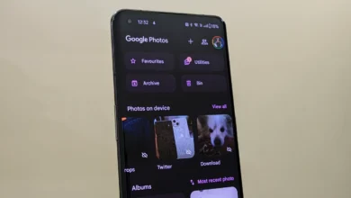 Top 7 Best Google Photos Alternatives 11 Top 7 Best Google Photos Alternatives